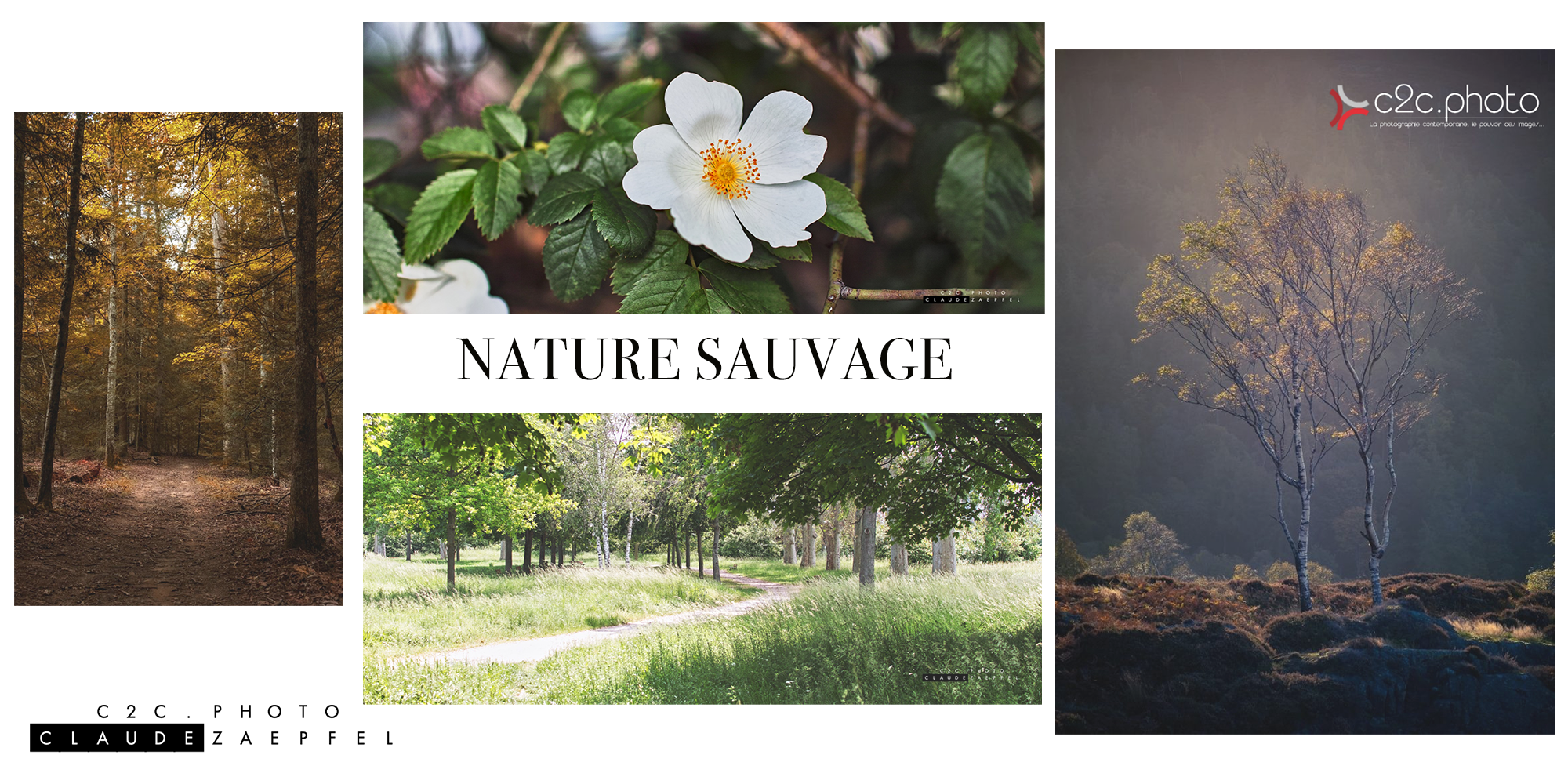 NATURESAUVAGE